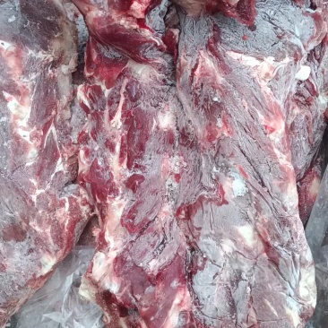满肉牛脖骨