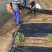 果园用防草布