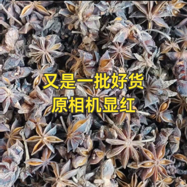 新货水烫无硫大红八角足干富宁八角百色大红八角带批次检