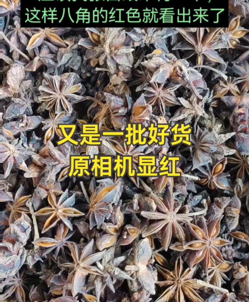 新货水烫无硫大红八角足干富宁八角百色大红八角带批次检