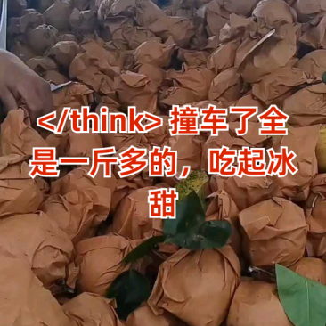 四川精品翠冠梨大量上市品质保证量大从优一手货源