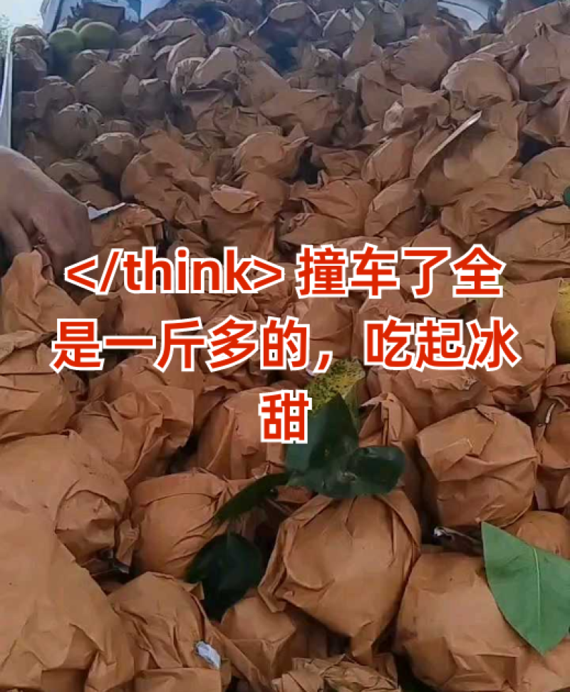 四川精品翠冠梨大量上市品质保证量大从优一手货源