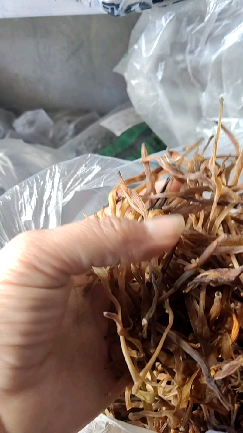 黄花莱野生批发零售菜口感好大山釆摘一手货源产地直发