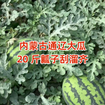 辽宁甜王西瓜价格美丽质量好走货快对接全国量大从优欢迎询价