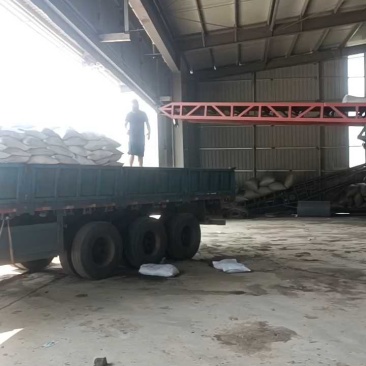 【厂家】河北保定发酵纯羊粪，圈养育肥羊纯羊粪加工发酵
