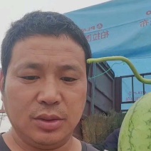 小糖丸西瓜皮薄瓜甜大棚吊瓜