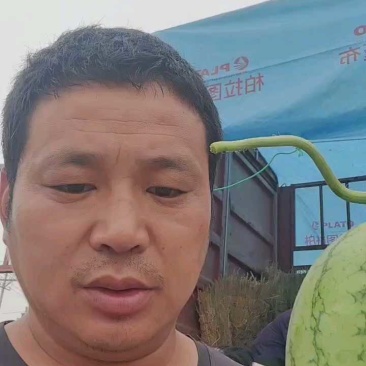 小糖丸西瓜皮薄瓜甜大棚吊瓜