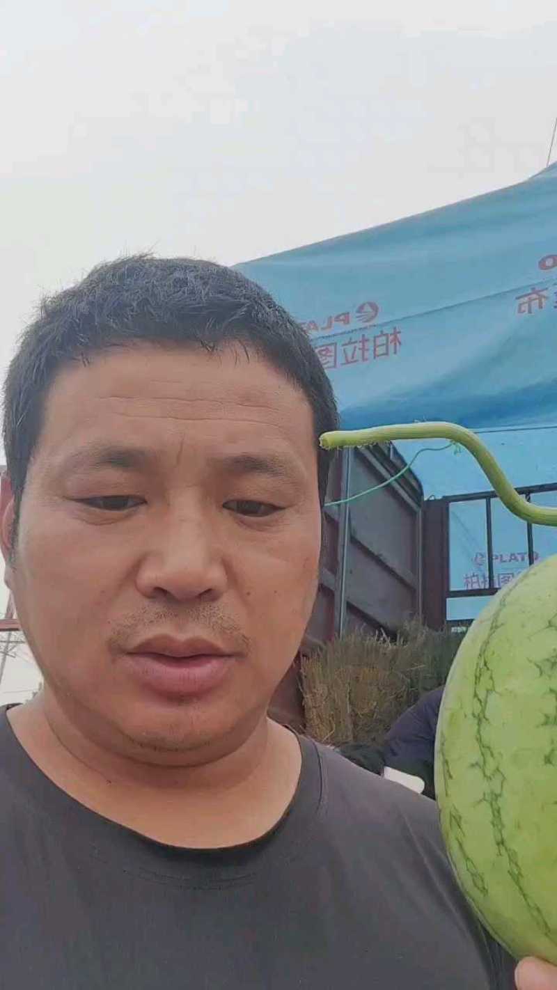 小糖丸西瓜皮薄瓜甜大棚吊瓜