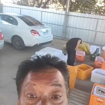 7月4号，酥脆一号梨现场装果中
