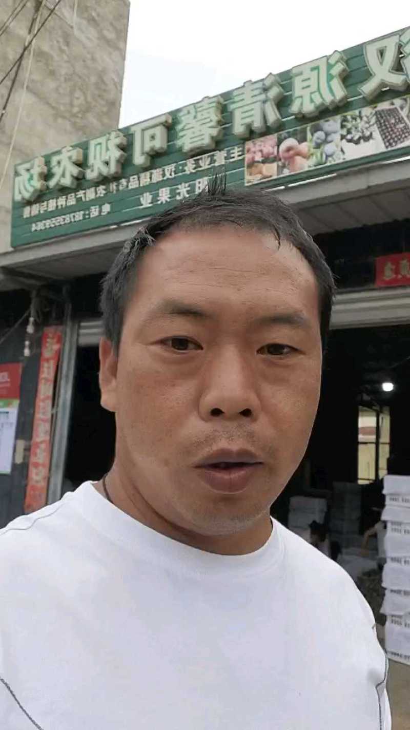 四川～汉源～精品5月脆～产地直供，一首货源