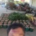 精选水蜜桃，现场看货，桃漂亮