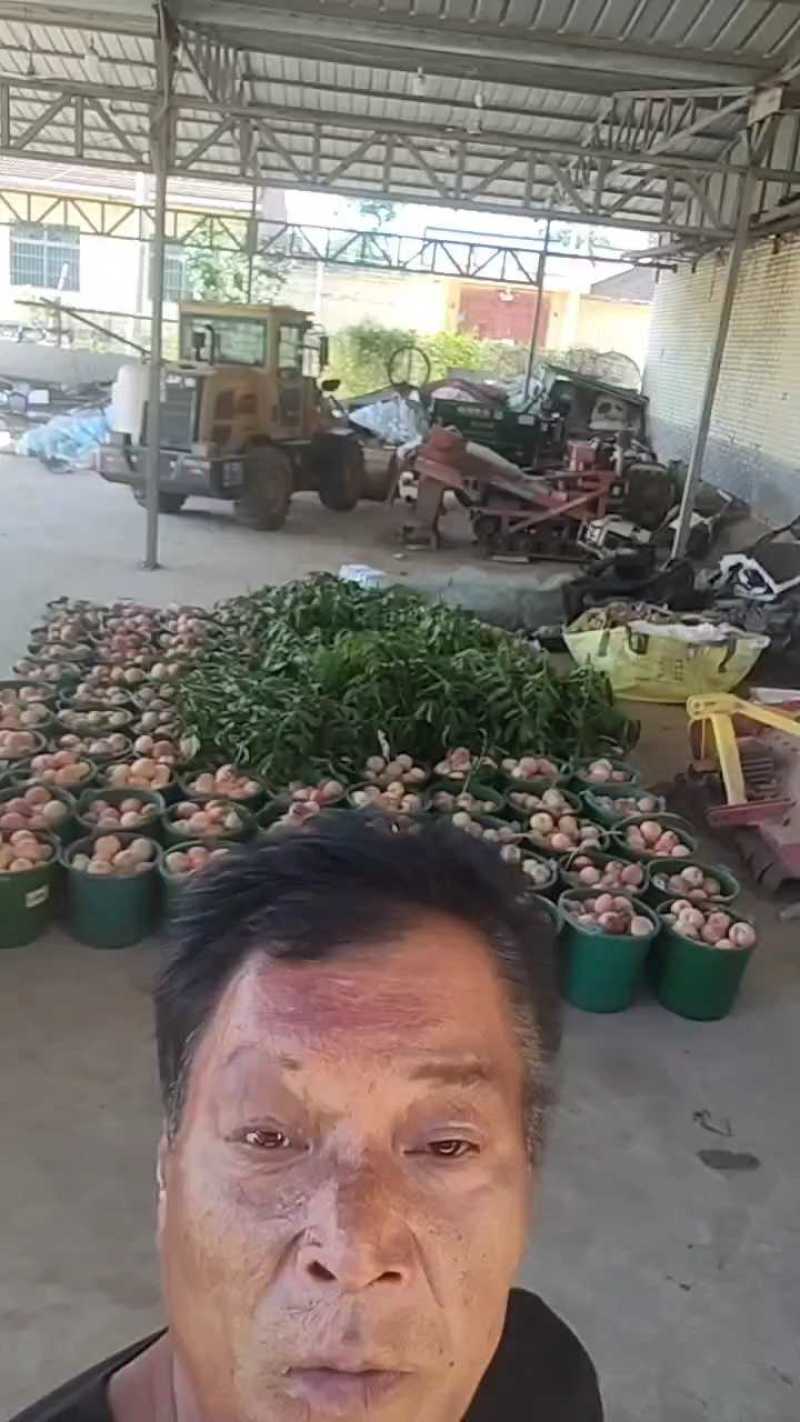 精选水蜜桃，现场看货，桃漂亮