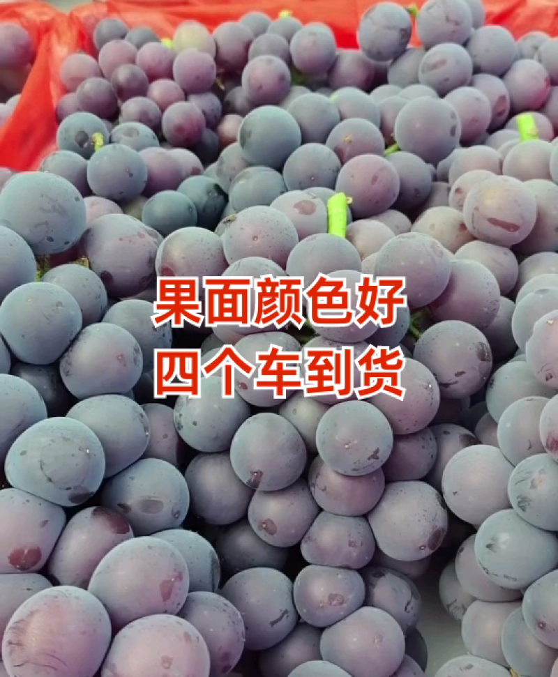 巨峰葡萄口感**