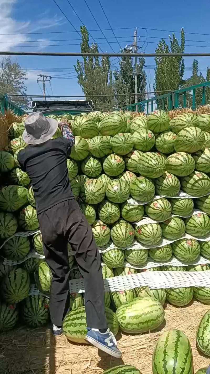 精品宁夏硒砂瓜石头瓜大量上市品质保证量大从优一手货