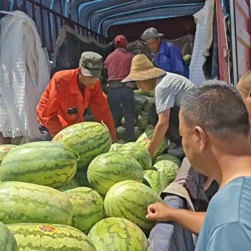 精品金花六装车验货，价格不高东西美