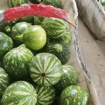 湖北小南瓜，南瓜，产地看货，产地供应，量大从优，欢迎订购