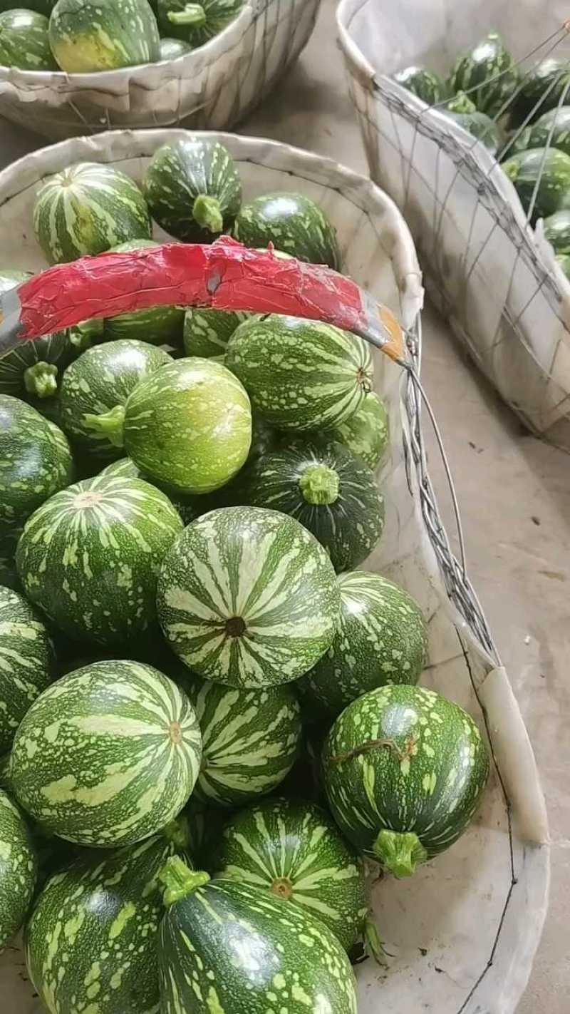 湖北小南瓜，南瓜，产地看货，产地供应，量大从优，欢迎订购