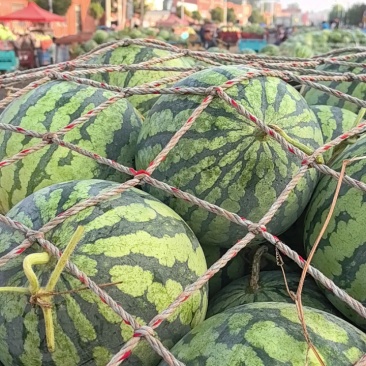【推荐】开封精品美都西瓜产地直发糖度高口感好