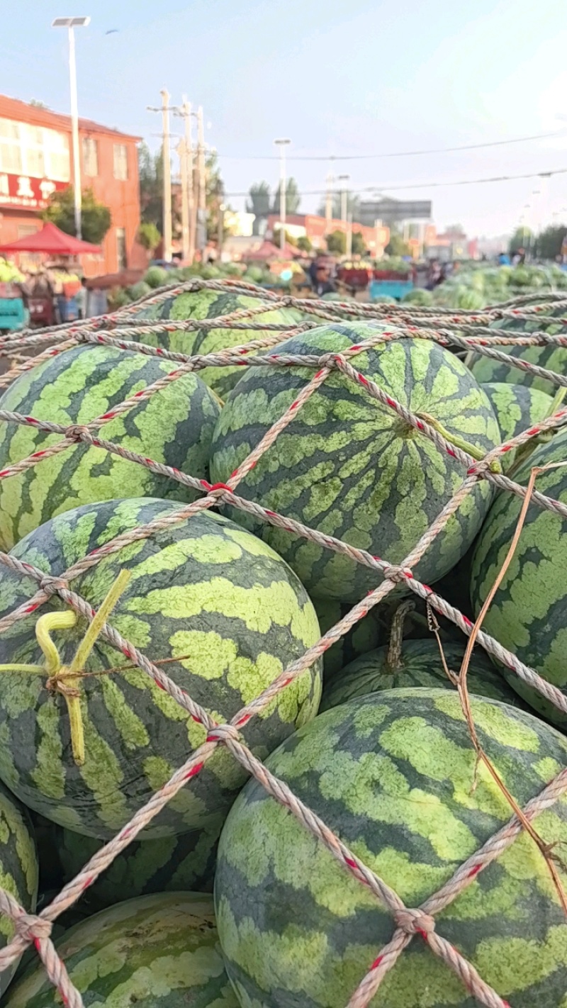 【推荐】开封精品美都西瓜产地直发糖度高口感好