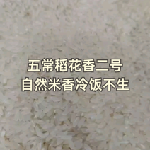 五常稻花香2号香米基地核心产区自产自销诚信经营