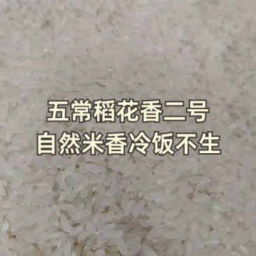 五常稻花香2号香米基地核心产区自产自销诚信经营