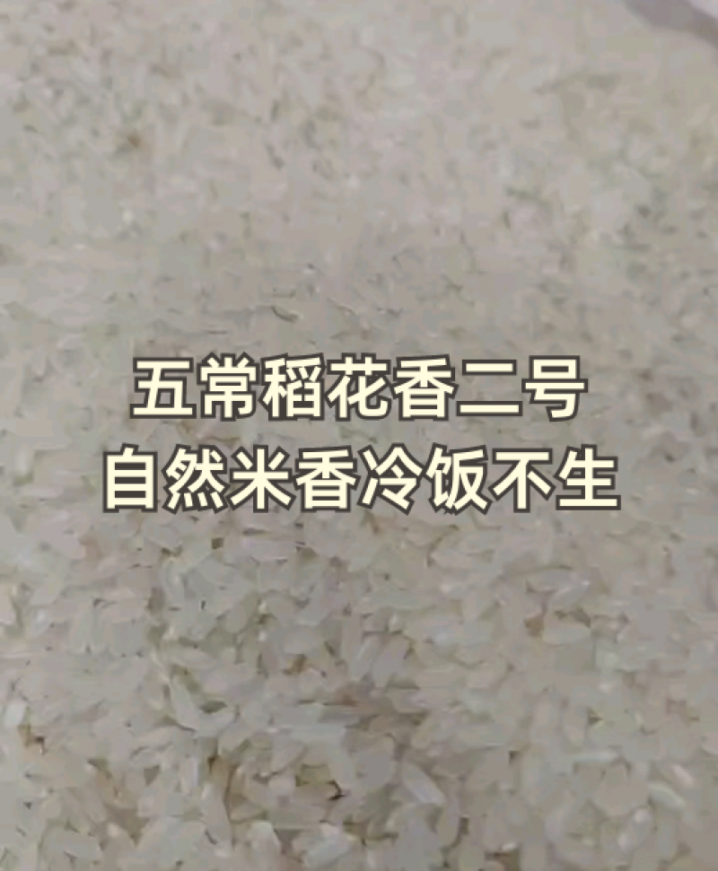 五常稻花香2号香米基地核心产区自产自销诚信经营