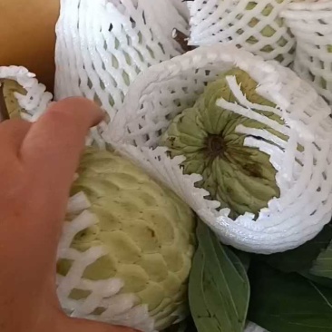 大目释迦果[顺丰包邮]新鲜释迦果林檎番荔枝佛头果