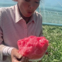 陕西麒麟西瓜，物美价廉，糖度13+质量保证，重的是诚信