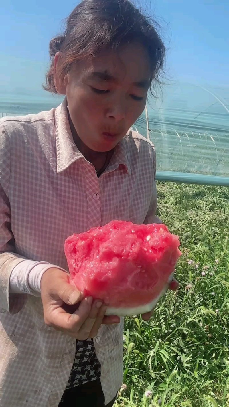 陕西麒麟西瓜，物美价廉，糖度13+质量保证，重的是诚信