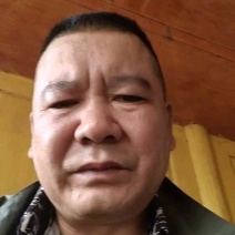 长青豆长豇豆，60~70公分精品新苗冬季大棚新苗货