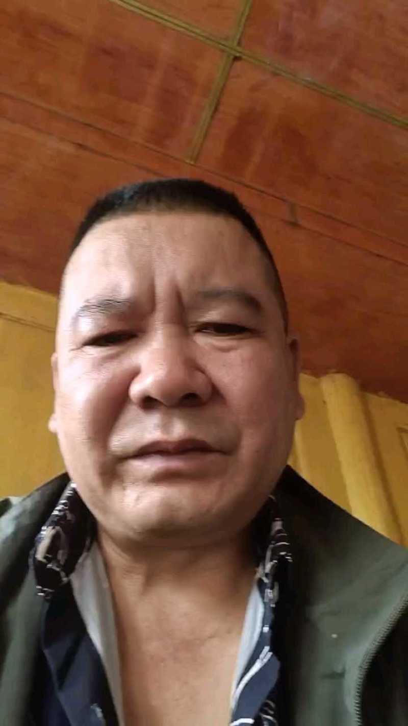 长青豆长豇豆，60~70公分精品新苗冬季大棚新苗货