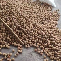 脱壳鲜核桃