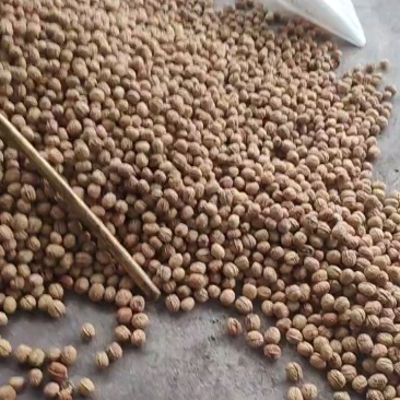 脱壳鲜核桃