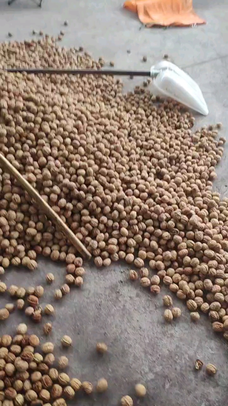 脱壳鲜核桃