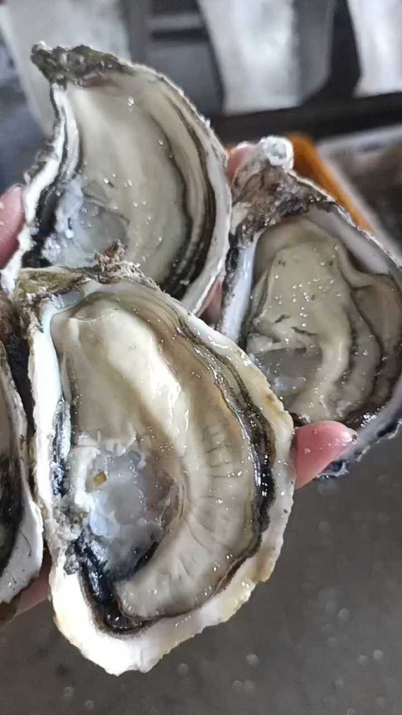 7月5日刚到货，1.5加起分选中