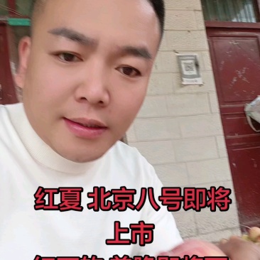 红不软毛桃量大从优欢迎下单实力代办