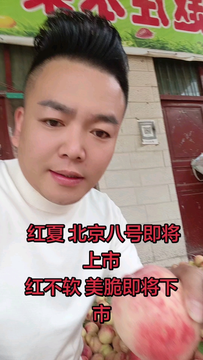 红不软毛桃量大从优欢迎下单实力代办