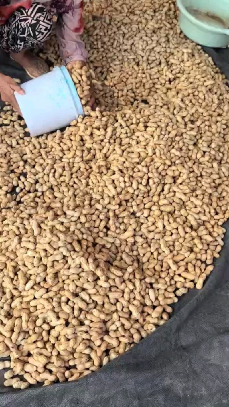 大果大果，质量非常好
