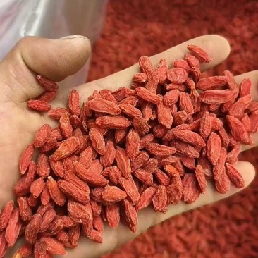 【有好货】头茬新货特级枸杞干货5斤包邮正宗宁夏中宁苟杞