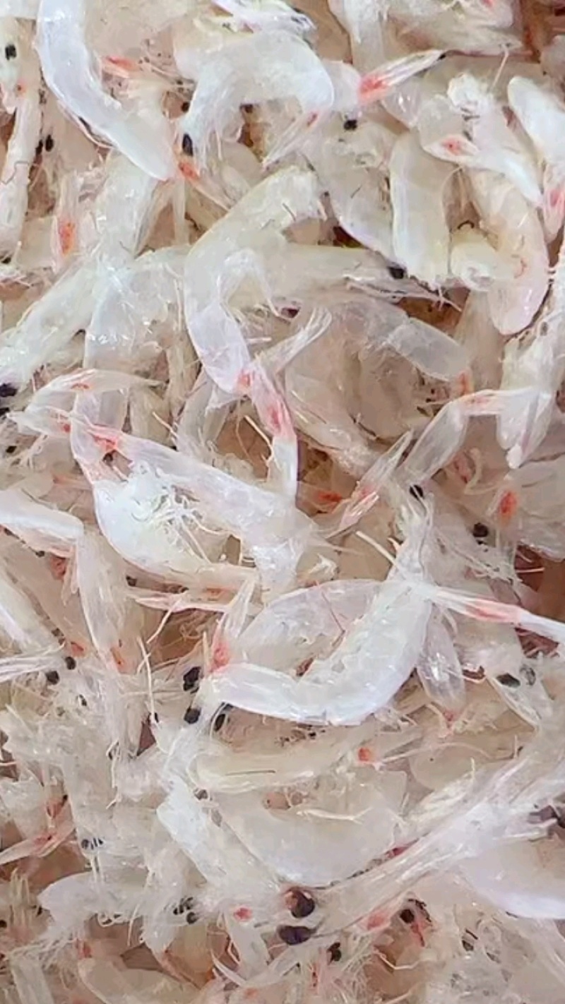 虾皮虾干干虾地摊电商批发水晶虾干干虾皮