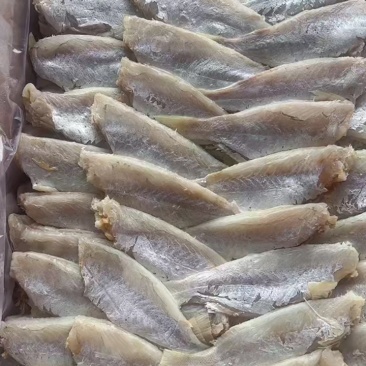中号剥皮鱼干地摊电商批发剥皮鱼干目肉鱼干干鱼