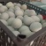 包泥松花蛋赶大集跑量产品
