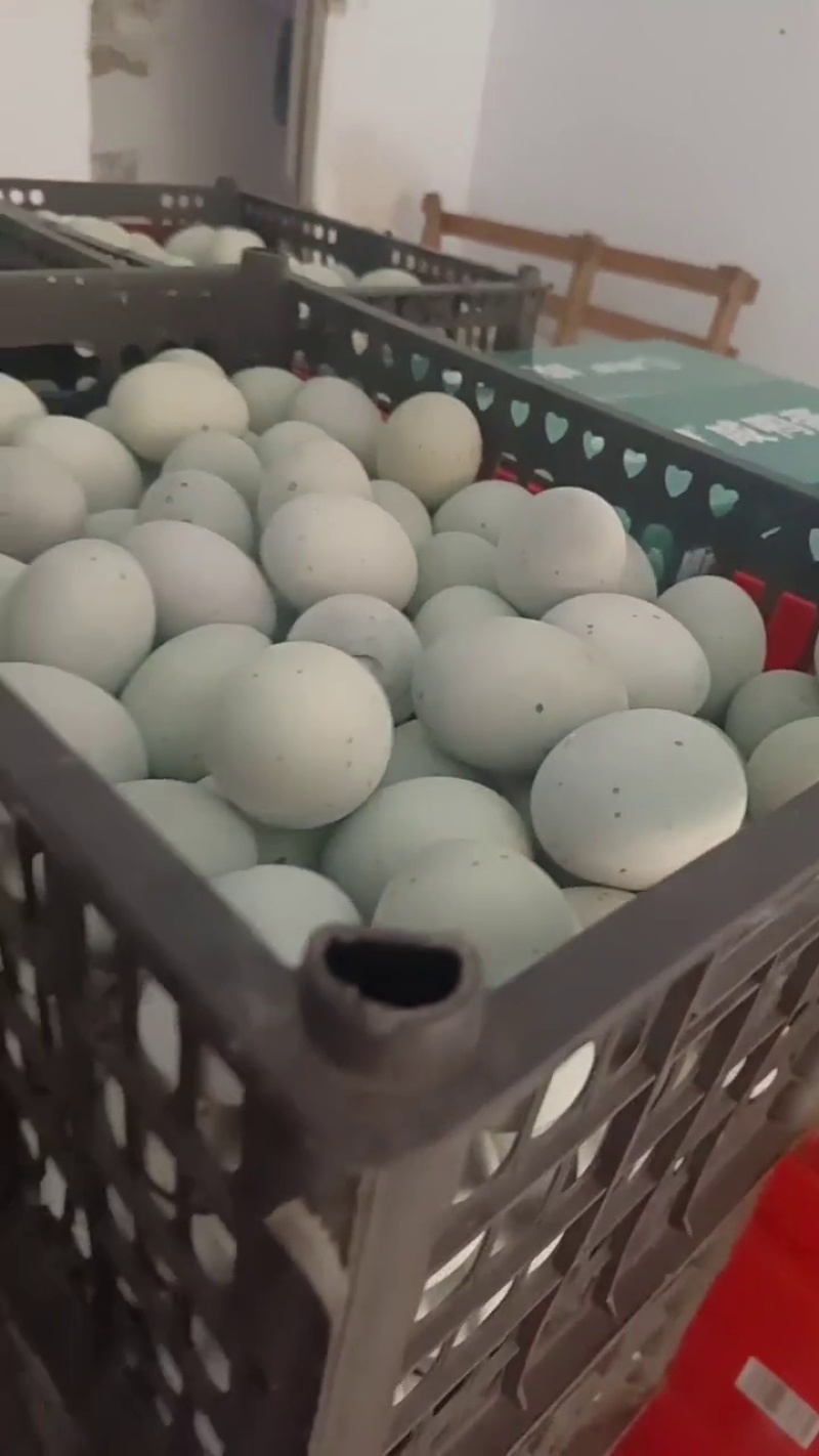 包泥松花蛋赶大集跑量产品