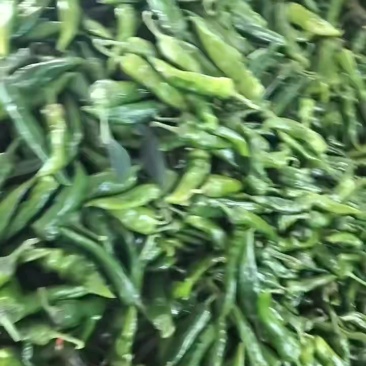 精品辣妹子，品质好，大量有货