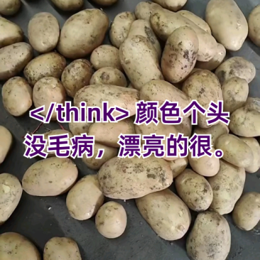 《优选土豆》荷兰，沃土，希深，v7，等产地直供，欢迎砸单