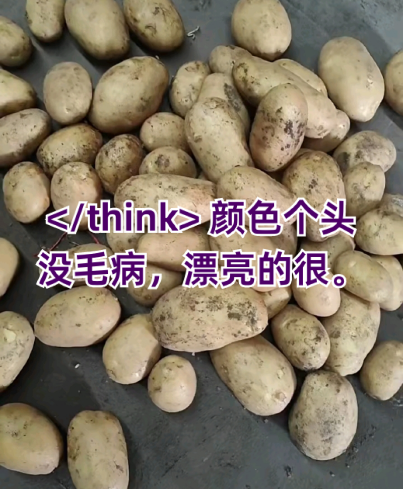 《优选土豆》荷兰，沃土，希深，v7，等产地直供，欢迎砸单