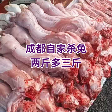 /think成都新鲜兔，2-3斤多规格，每日有货