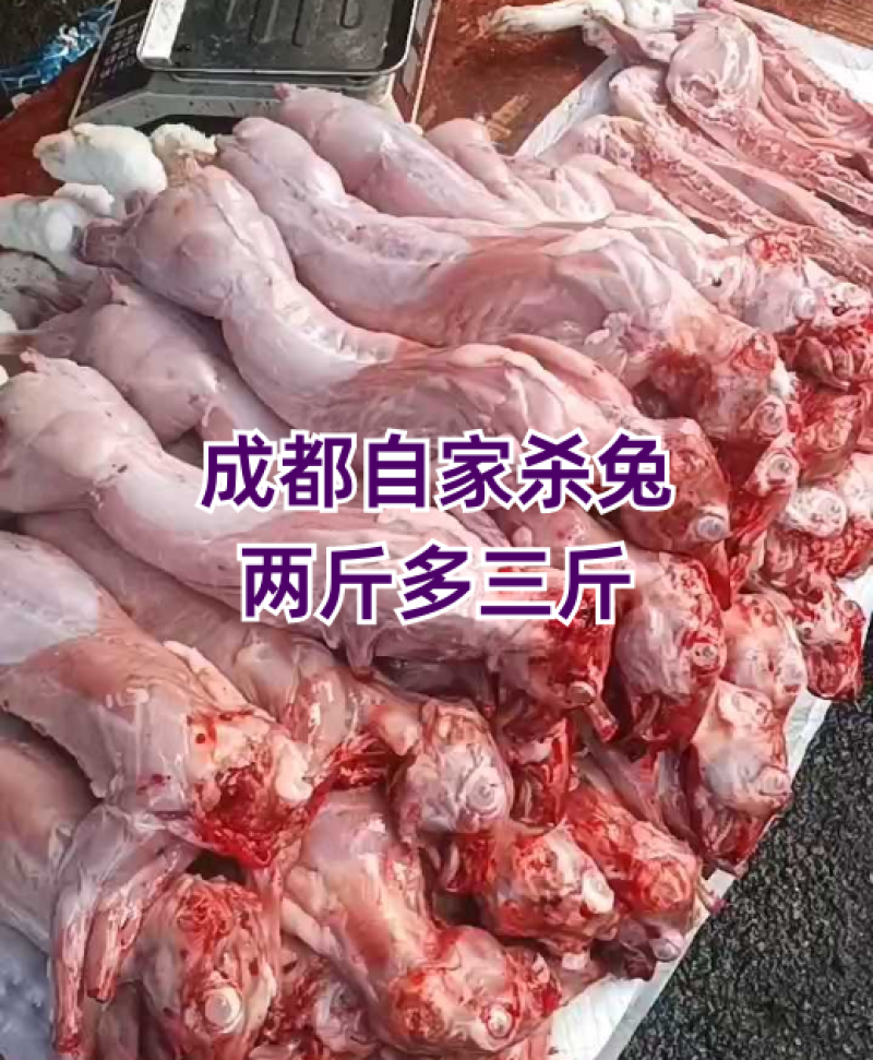 /think成都新鲜兔，2-3斤多规格，每日有货