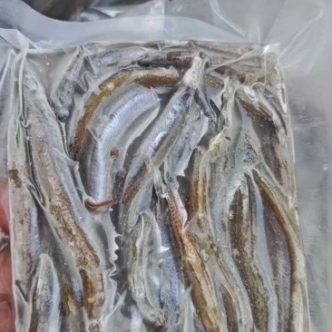小银鱼，方便快捷支持饭店支持批发零售货源
