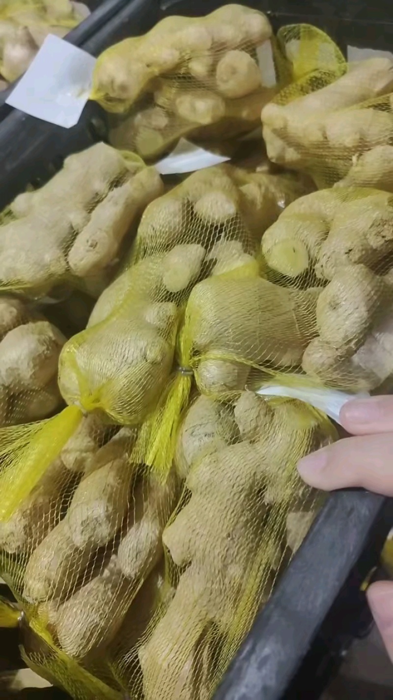 精品生姜产地直发服务周到视频看货品质**